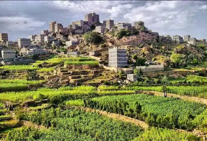 لحج